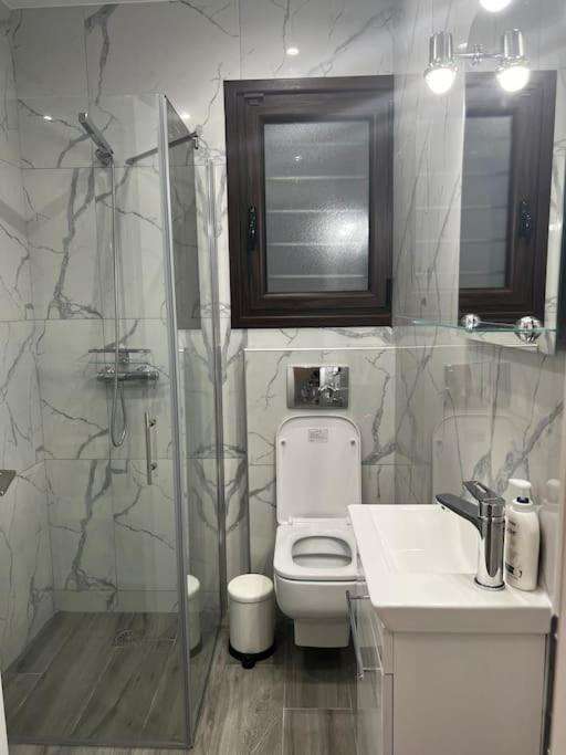 Olivia Luxury Apartment Palio Faliro Atina Dış mekan fotoğraf